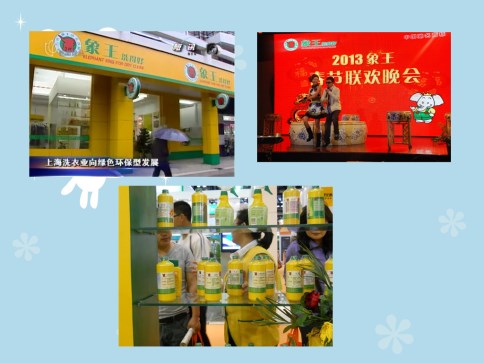 加盟干洗店排行榜，優(yōu)質(zhì)品牌選象王